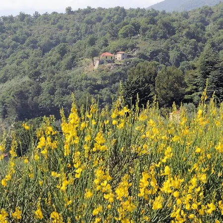 Natura Tatil Evi *