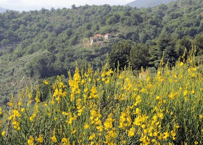 Natura Сasa de vacaciones *